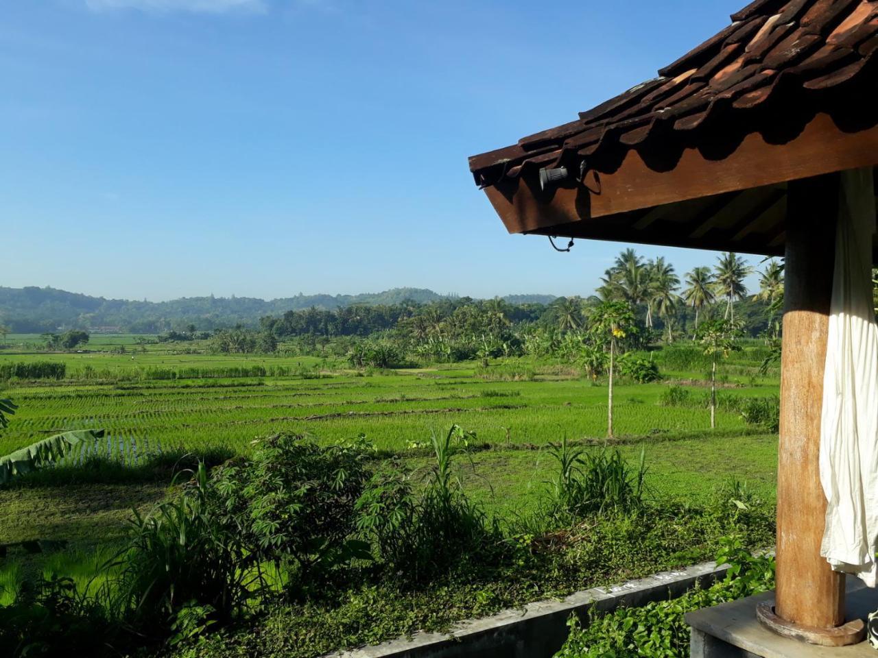 Villa Blue Steps Yogyakarta Exterior foto